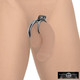 Locking Penis and Ball Ring by Master Series