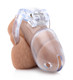 Clear Captor Chastity Cage - Medium by Master Series