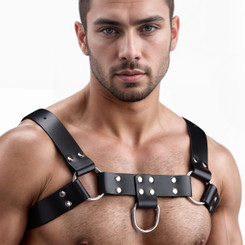 English Bull Dog Harness by Strict Leather