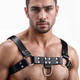 English Bull Dog Harness by Strict Leather