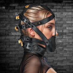 Leather Head Harness with Muzzle by Master Series