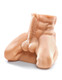 Pipedream Silly Man! Male Torso Dildo by Pipedream Extreme