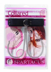 The Collar To Nipple Clamps Sex Toy For Sale