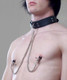 Collar with Attached Nipple Clamps by Spartacus - Product SKU SPL08J13