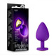 Temptasia - Bling Plug Large - Purple by Blush Novelties - Product SKU CNVNAL -72883