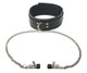 Coveted Collar and Nipple Clamps Union by Master Series - Product SKU SP525