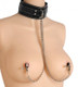 Coveted Collar and Nipple Clamps Union Sex Toys