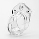 Mini-me 1.25 Chastity Cage Kit Clear inches by CBX Male Chastity - view 2