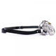 Chastity Belt With Lock Steel by Pipedream Products - view 4