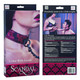 Scandal Collar With Leash Red Black O/S by Cal Exotics - Product SKU SE271250