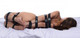 Subdued Full Body Straps Nylon Restraint Set Black by XR Brands - view 4