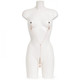 Fifty Shades Freed All Sensation Nipple & Clitoral Chain by Love Honey
