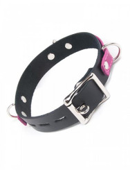 Joanna Angel Locking Buckle Collar Pink Black by Kinklab