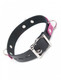 Joanna Angel Locking Buckle Collar Pink Black by Kinklab