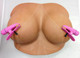 Nipplettes - Pink by Cal Exotics - Product SKU SE2589 -04