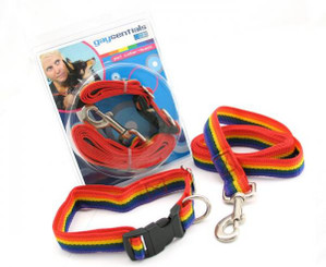 Gaysentials Pet Collar and Leash Set Large