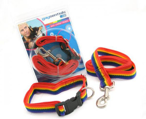 Gaysentials Pet Collar and Leash Set Large by Phs International