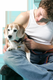Gaysentials Pet Collar and Leash Set Large by Phs International - view 2