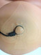 Limited Edition Nipple & Clit Jewelry by Pipedream Products - view 2