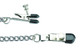 Adjustable Broad Tip Nipple Clamps With Loop And Link Chain Silver by Spartacus - view 3