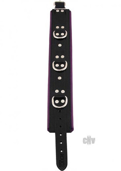 Rouge Padded Collar Black/purple Adult Toys