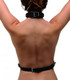XR LLC Strict Female Chest Harness - Product SKU CNVEF-EXR-AF494