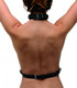 Strict Female Chest Harness by XR LLC - view 3