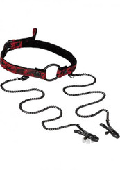 Scandal Open Mouth Gag with Clamps by Cal Exotics