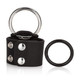 Colt Scrotum Set Black by Cal Exotics