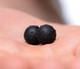 Dragons Orbs Nubbed Magnetic Balls Black by XR Brands - view 4