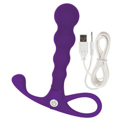 Embrace Beaded Anal Probe Purple Vibrator Adult Sex Toy