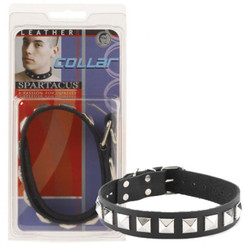 The Leather Collar 1 Inch With Assorted Studs Sex Toy For Sale