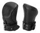 Premium Equine Pony Play Essentials Kit by XR Brands - view 3