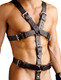 Strict Leather Body Harness L/XL by XR Brands