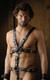 Strict Leather Body Harness With Erection Ring XL by XR Brands - view 3