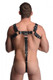 English Bull Dog Harness With Erection Strap Black by XR Brands - view 3