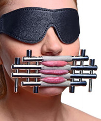 Stainless Steel Lips And Tongue Press Silver by XR Brands