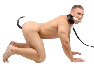 Intro To Puppy Play 3 Piece Starter Kit Bulk by XR Brands