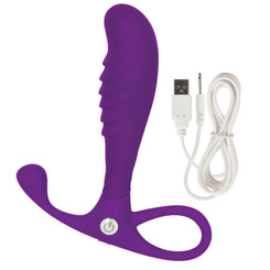 Embrace Tapered Anal Probe Purple Vibrator Adult Toys