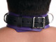 XR Brands Strict Leather Deluxe Locking Collar Purple Black - Product SKU CNVXR-SL212