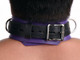 Strict Leather Deluxe Locking Collar Purple Black by XR Brands - view 3
