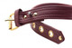 Strict Leather Burgundy Locking Collar by XR Brands - Product SKU CNVXR -AE798 -COLLAR