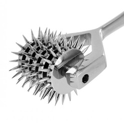 5 Reel Pinwheel by XR Brands