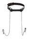 Silicone Bit Gag With Nipple Clamps by XR Brands - view 2