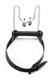 Silicone Bit Gag With Nipple Clamps by XR Brands - view 3