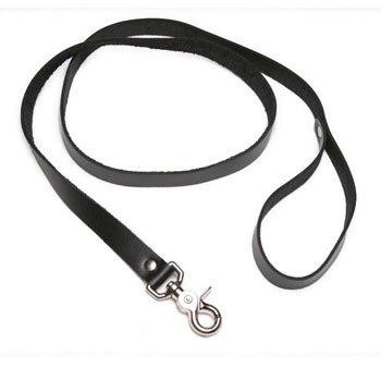 Strict Leather 4 Foot Leash by XR Brands
