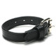 Buckle Leather C*ck Ring Black by XR Brands