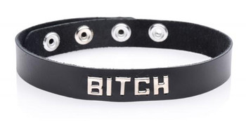 Leather ID Collars by XR Brands