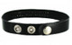Leather ID Collars Bitch by XR Brands - Product SKU CNVXR -SP580 -BITCH