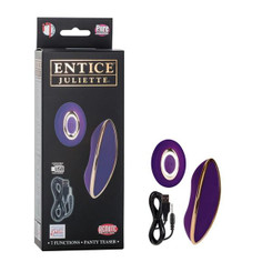 Entice Juliette Purple Teaser Vibrator Sex Toys